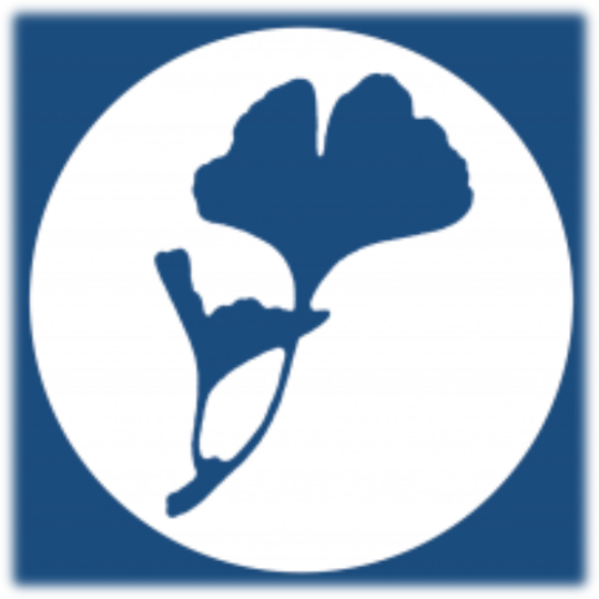 Logo der Praxis Dr. Schneider Köln - Ginkgo-Blatt-Silhouette