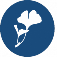 Logo der Praxis Dr. Schneider Köln - Ginkgo-Blatt-Silhouette